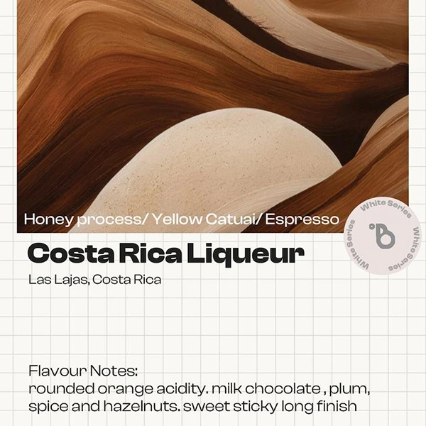 Costa Rica Black Sugar Liqueur Specialty Coffee
